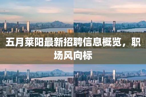 五月莱阳最新招聘信息概览，职场风向标