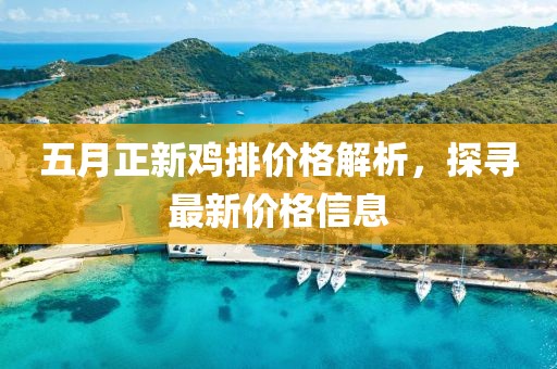 五月正新鸡排价格解析，探寻最新价格信息