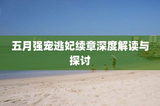 五月强宠逃妃续章深度解读与探讨