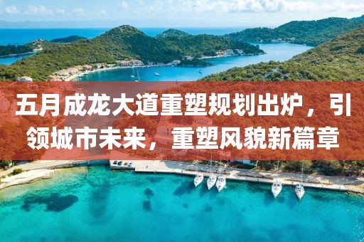 五月成龙大道重塑规划出炉，引领城市未来，重塑风貌新篇章