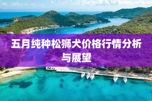 2025年5月8日 第15页