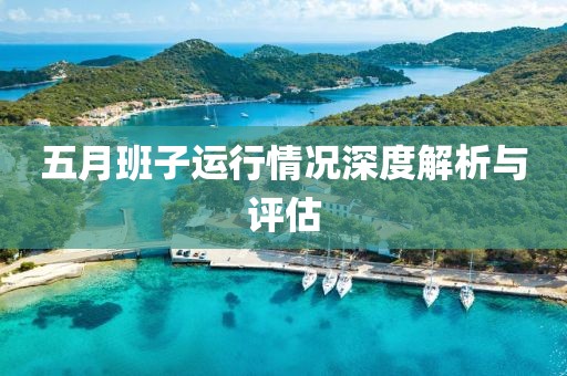 五月班子运行情况深度解析与评估