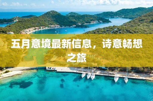 五月意境最新信息，诗意畅想之旅