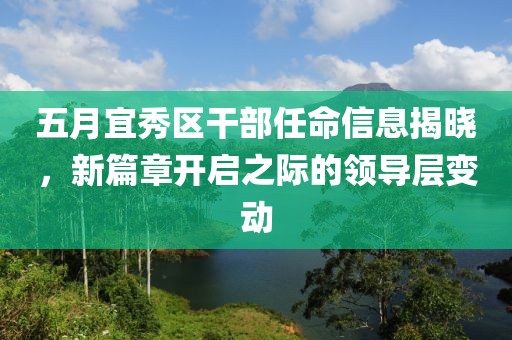 五月宜秀区干部任命信息揭晓，新篇章开启之际的领导层变动