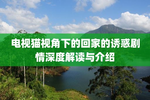 电视猫视角下的回家的诱惑剧情深度解读与介绍