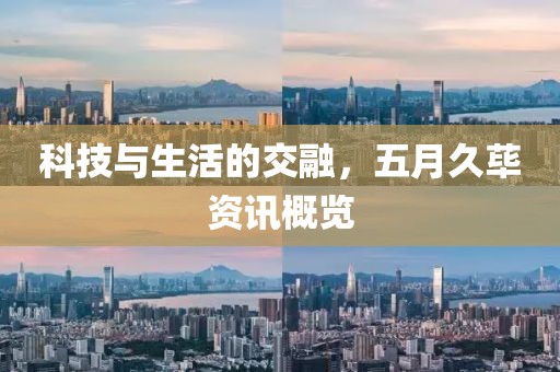 科技与生活的交融，五月久荜资讯概览