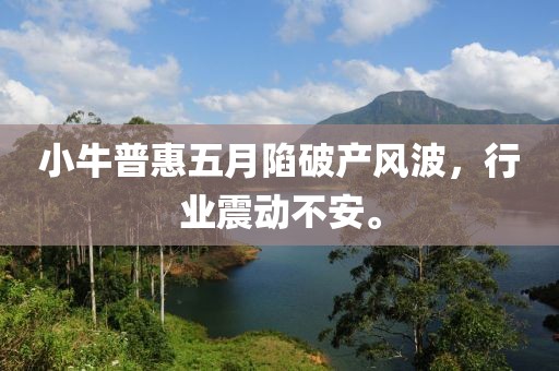 小牛普惠五月陷破产风波，行业震动不安。