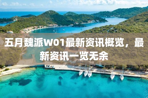 五月魏派W01最新资讯概览，最新资讯一览无余