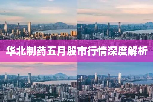 华北制药五月股市行情深度解析