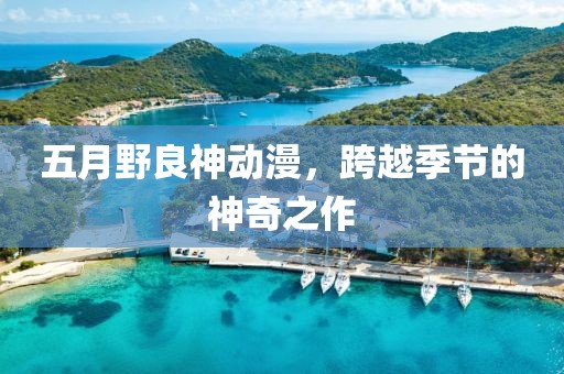 五月野良神动漫，跨越季节的神奇之作