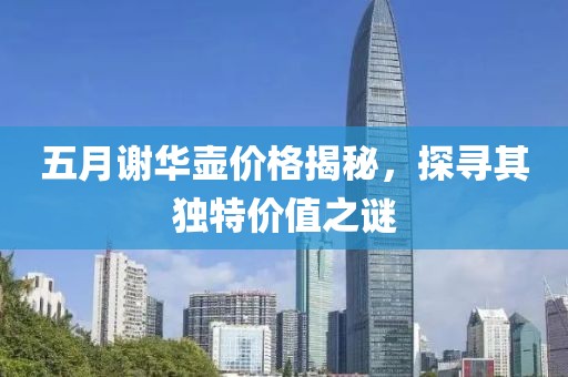 五月谢华壶价格揭秘，探寻其独特价值之谜