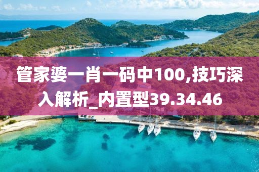 管家婆一肖一码中100,技巧深入解析_内置型39.34.46