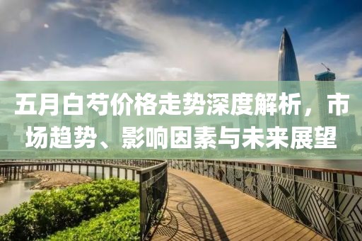 五月白芍价格走势深度解析，市场趋势、影响因素与未来展望