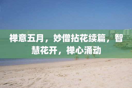 禅意五月，妙僧拈花续篇，智慧花开，禅心涌动