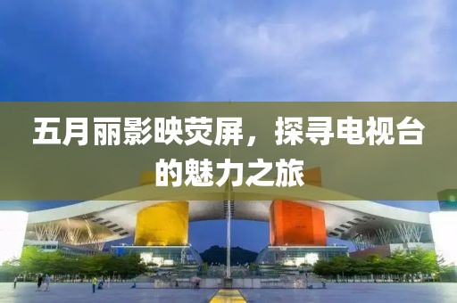 五月丽影映荧屏，探寻电视台的魅力之旅