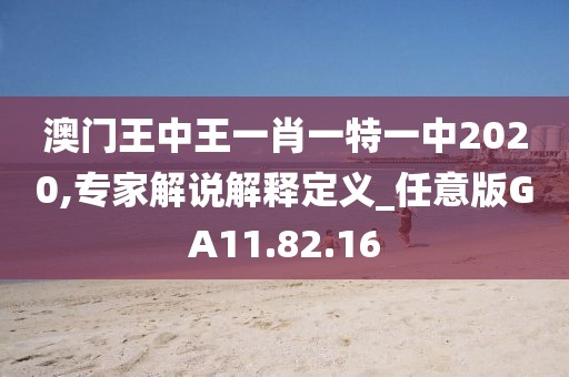 澳门王中王一肖一特一中2020,专家解说解释定义_任意版GA11.82.16