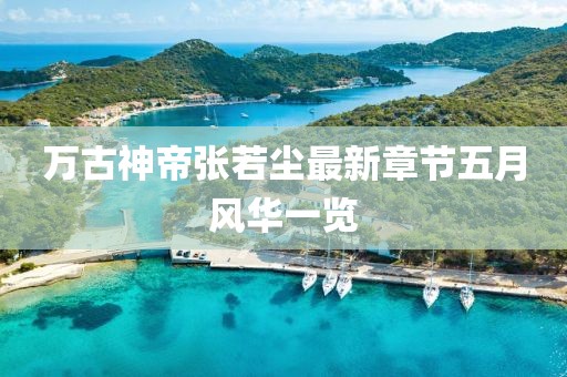 万古神帝张若尘最新章节五月风华一览