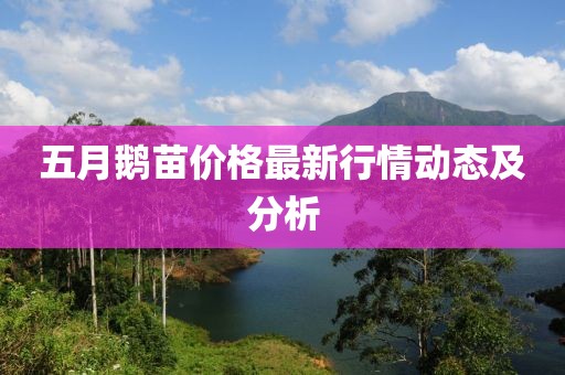 五月鹅苗价格最新行情动态及分析