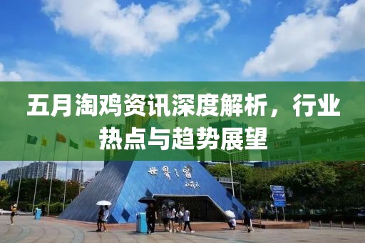 五月淘鸡资讯深度解析，行业热点与趋势展望