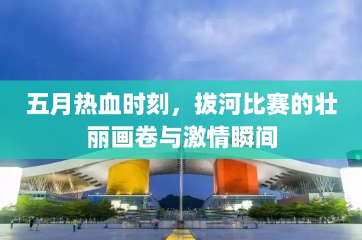 五月热血时刻，拔河比赛的壮丽画卷与激情瞬间