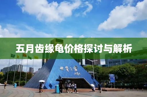 五月齿缘龟价格探讨与解析