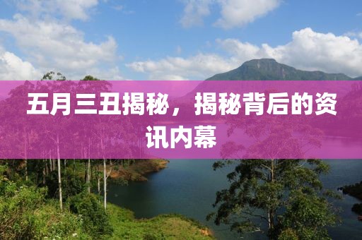 五月三丑揭秘，揭秘背后的资讯内幕