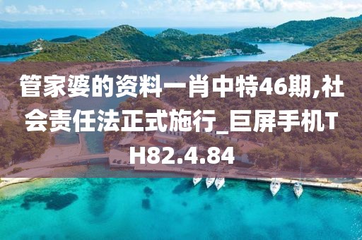 管家婆的资料一肖中特46期,社会责任法正式施行_巨屏手机TH82.4.84