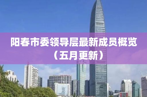 阳春市委领导层最新成员概览（五月更新）