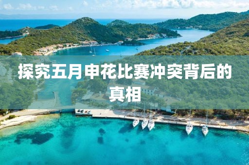 探究五月申花比赛冲突背后的真相