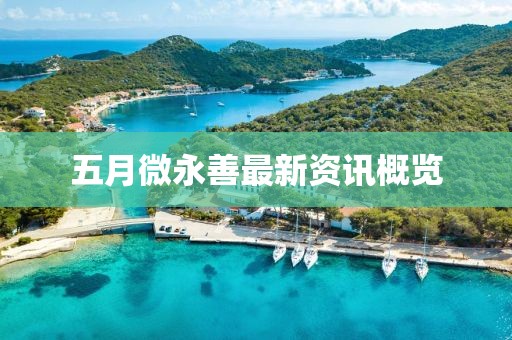 五月微永善最新资讯概览