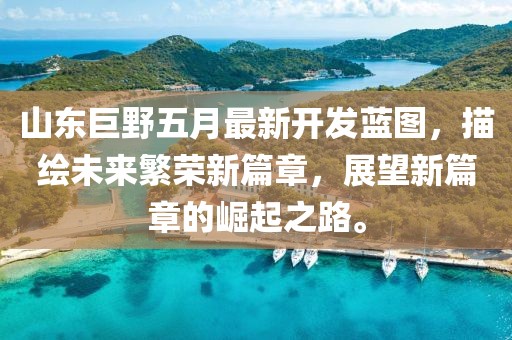 山东巨野五月最新开发蓝图，描绘未来繁荣新篇章，展望新篇章的崛起之路。