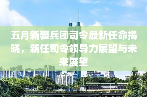 五月新疆兵团司令最新任命揭晓，新任司令领导力展望与未来展望