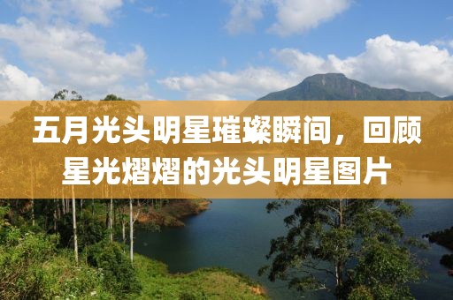 五月光头明星璀璨瞬间，回顾星光熠熠的光头明星图片