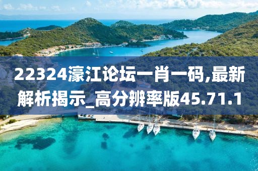 22324濠江论坛一肖一码,最新解析揭示_高分辨率版45.71.10