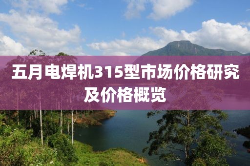 五月电焊机315型市场价格研究及价格概览