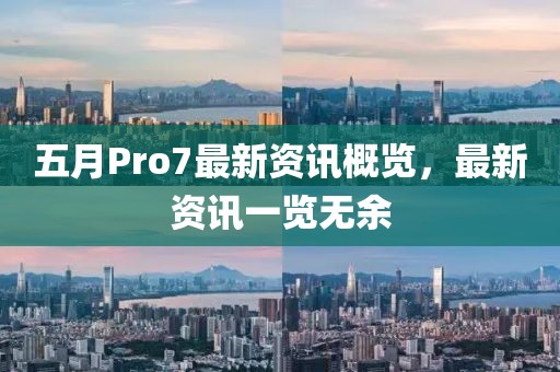 五月Pro7最新资讯概览，最新资讯一览无余