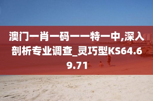 澳门一肖一码一一特一中,深入剖析专业调查_灵巧型KS64.69.71