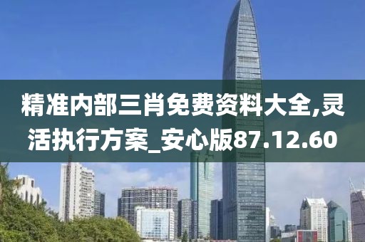 精准内部三肖免费资料大全,灵活执行方案_安心版87.12.60