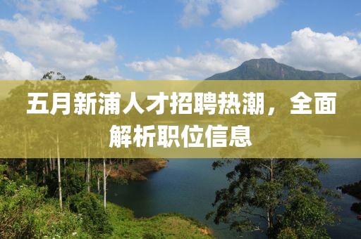 五月新浦人才招聘热潮，全面解析职位信息