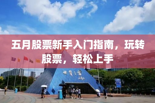 五月股票新手入门指南，玩转股票，轻松上手
