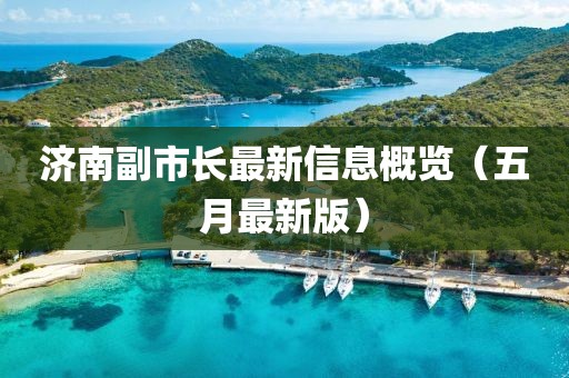济南副市长最新信息概览（五月最新版）