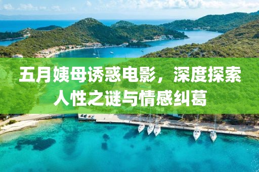 五月姨母诱惑电影，深度探索人性之谜与情感纠葛
