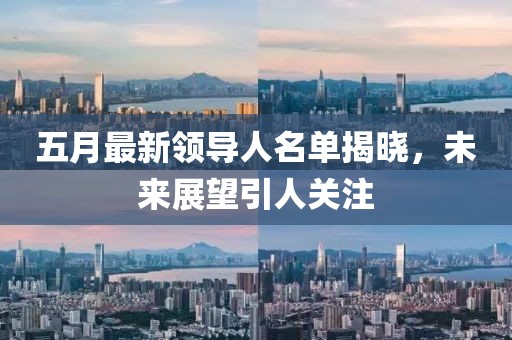 五月最新领导人名单揭晓，未来展望引人关注