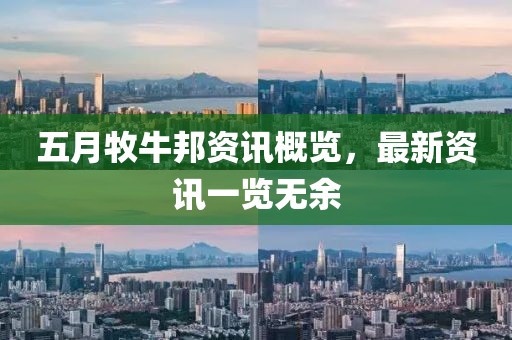 五月牧牛邦资讯概览，最新资讯一览无余