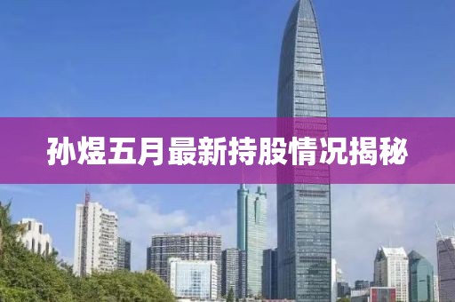 孙煜五月最新持股情况揭秘