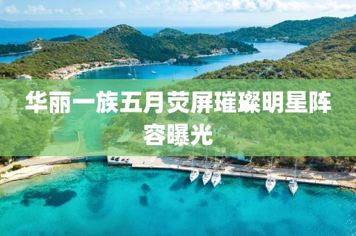 华丽一族五月荧屏璀璨明星阵容曝光