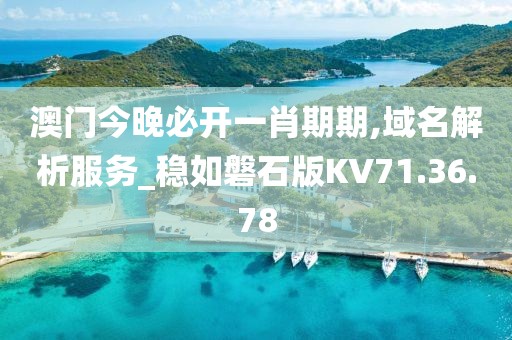 澳门今晚必开一肖期期,域名解析服务_稳如磐石版KV71.36.78