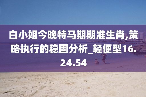 白小姐今晚特马期期准生肖,策略执行的稳固分析_轻便型16.24.54