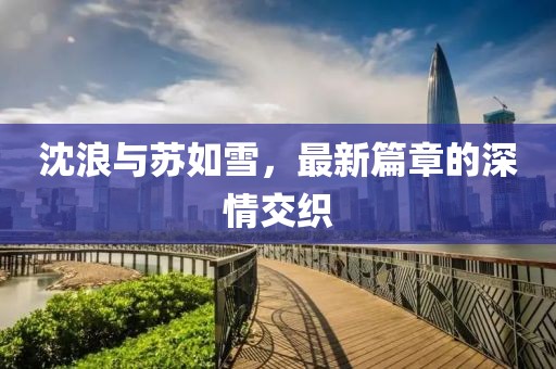 沈浪与苏如雪，最新篇章的深情交织