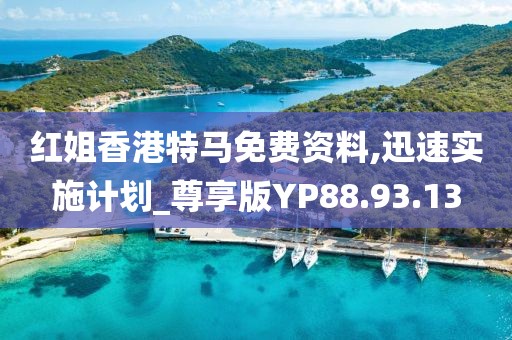 红姐香港特马免费资料,迅速实施计划_尊享版YP88.93.13